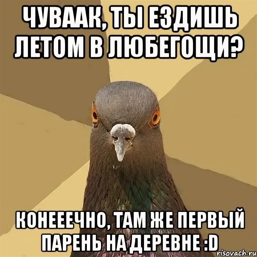 Каждое лето езжу. Девиз семьи про природу. Каждое лето езжу. Зимняя резина летом. Каждое лето езжу.
