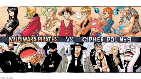 One piece collection