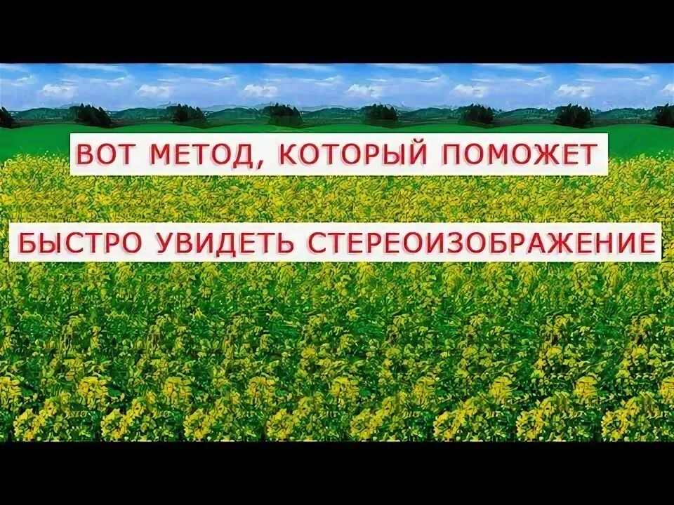 Увидеть быстрее