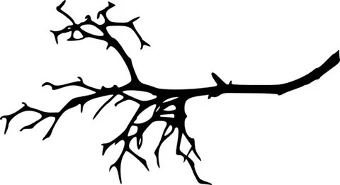 Related branch