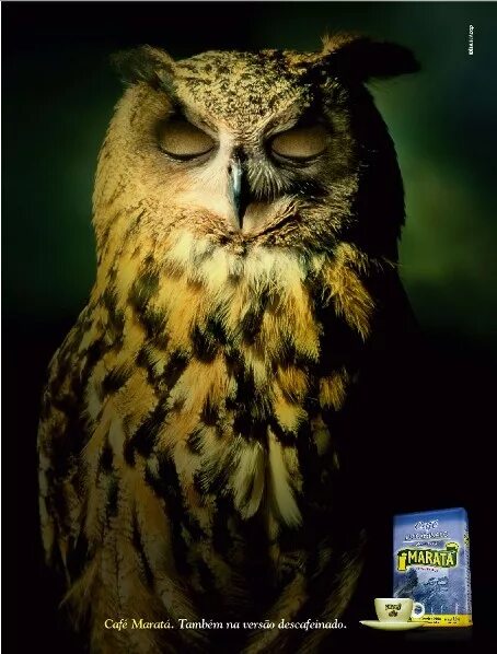 игрушечные совы из рекламы. ретро плакат сова. ретро плакат сова.