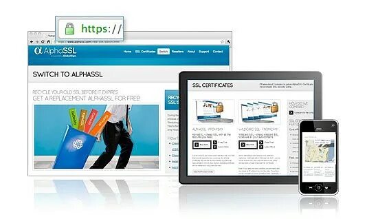 Globalsign domain. Alphassl. alphassl (dv). globalsign. alphassl wildcard 1 year.