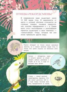 Заговор птица