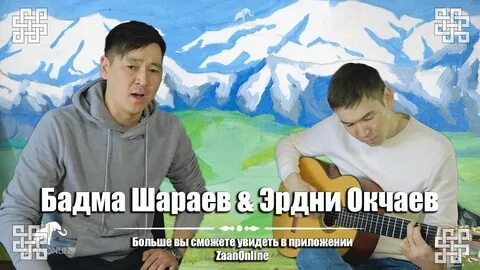 Чини толя