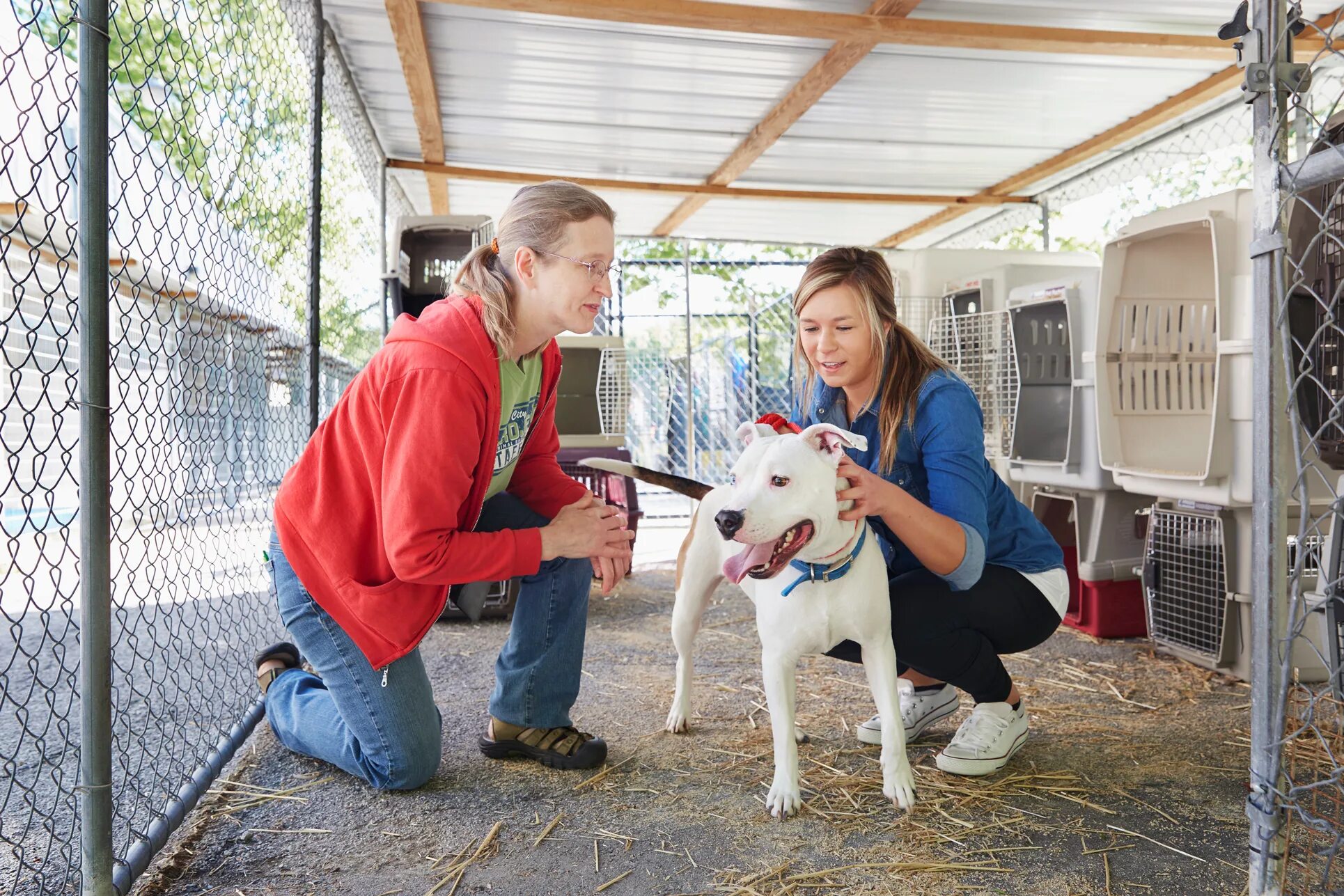 Adopt pets and prove mom wrong