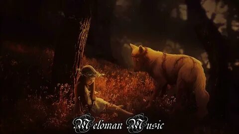 Животные в ночное время
