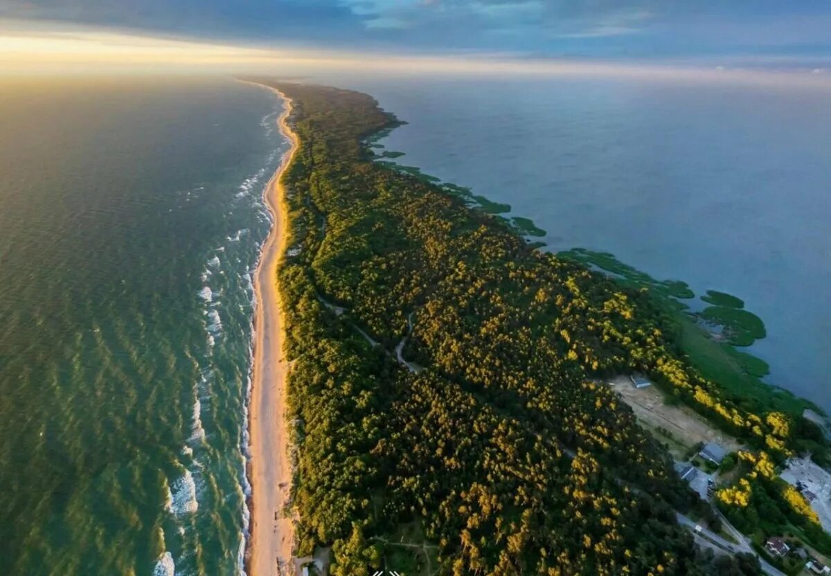 Куршская коса Калининградская область. Балтийское море Куршская коса. Национальный парк Куршская коса Калининградская область. Калининград море Куршская коса.