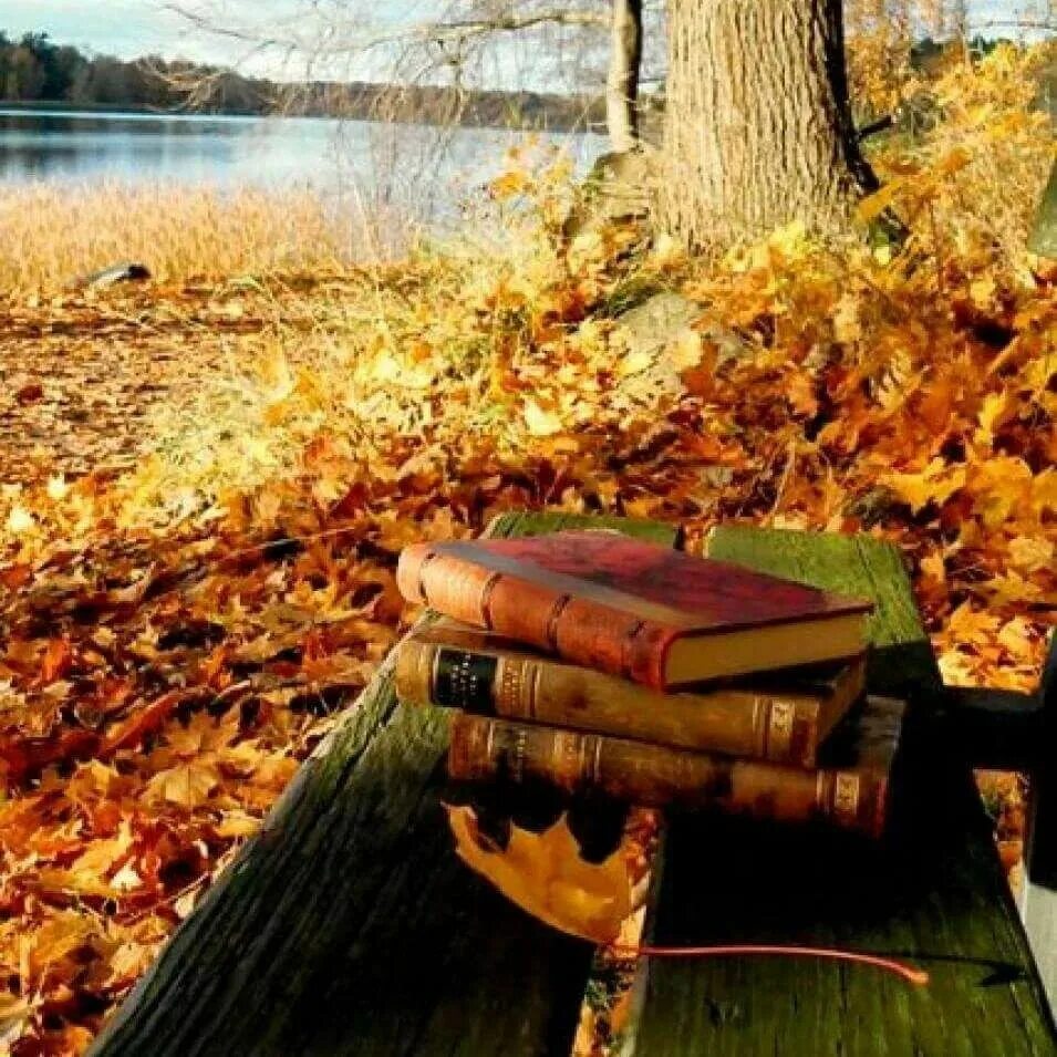 Книги про осень. Книжки про осень. Осень вдохновляет. Осень природа Вдохновение