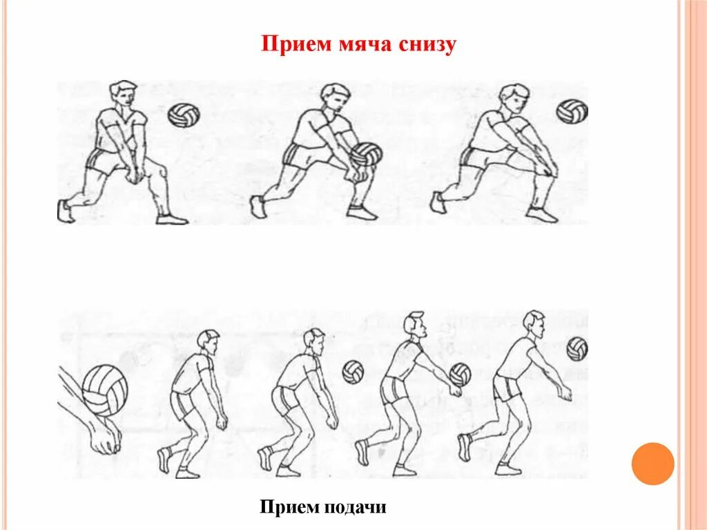 Прием мяча снизу прием подачи. Прием волейбольного мяча снизу. Приём снизу в волейболе в игре. Основные приёмы мяча снизу. Приём мяча снизу. Приём подачи.