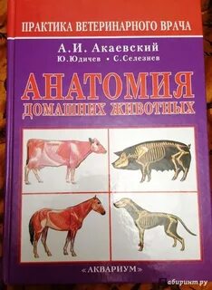 Животная практика