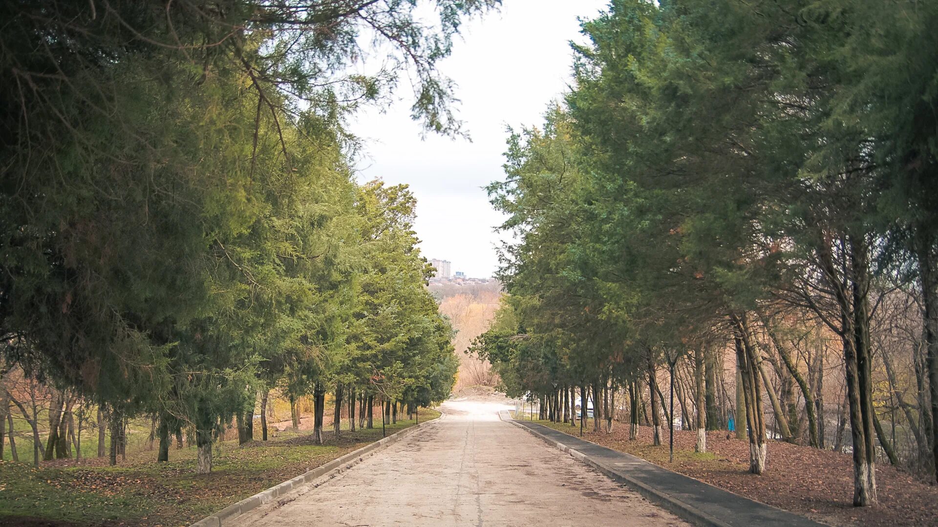 Ботанический сад ростова-на-дону. Сад ростов на дону. Ботанический сад южного федерального университета. Сад ростов на дону. Ботанический сад юфу ростов-на-дону.