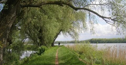 Река тропа