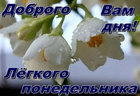 Хорошего понедельника картинки с надписями
