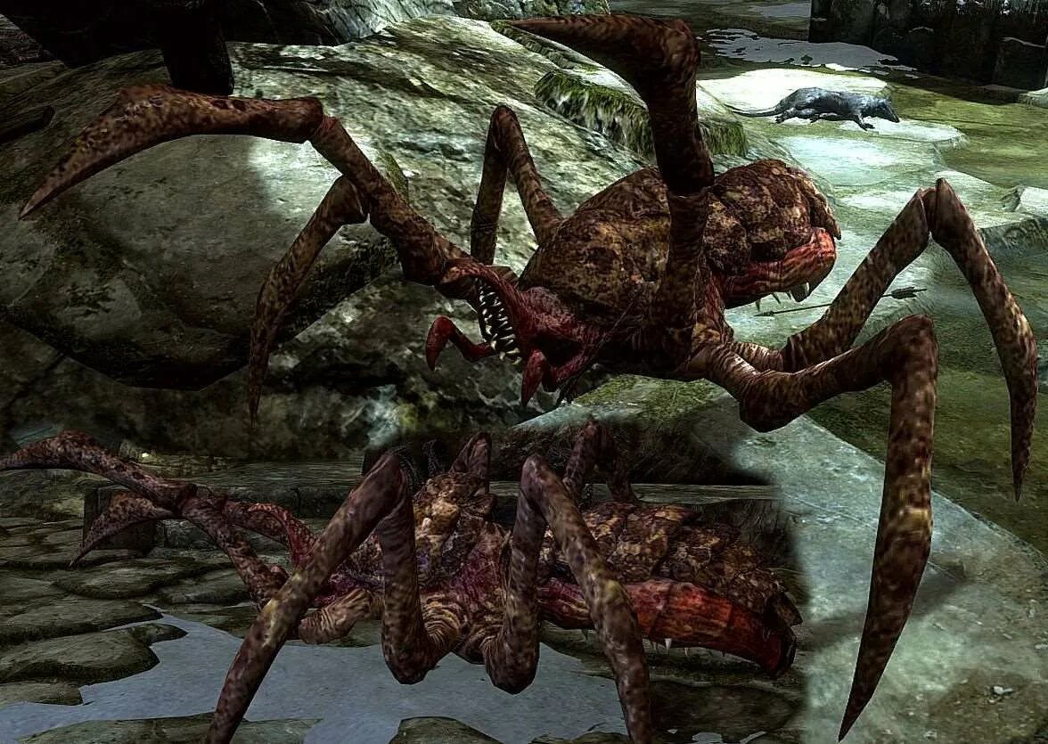 Oblivion дейдра паук. Превращение в мобов 1. Фармилка пауков 1 12 2. Фоллаут 4 пауки. Ретекстур пауков скайрим.