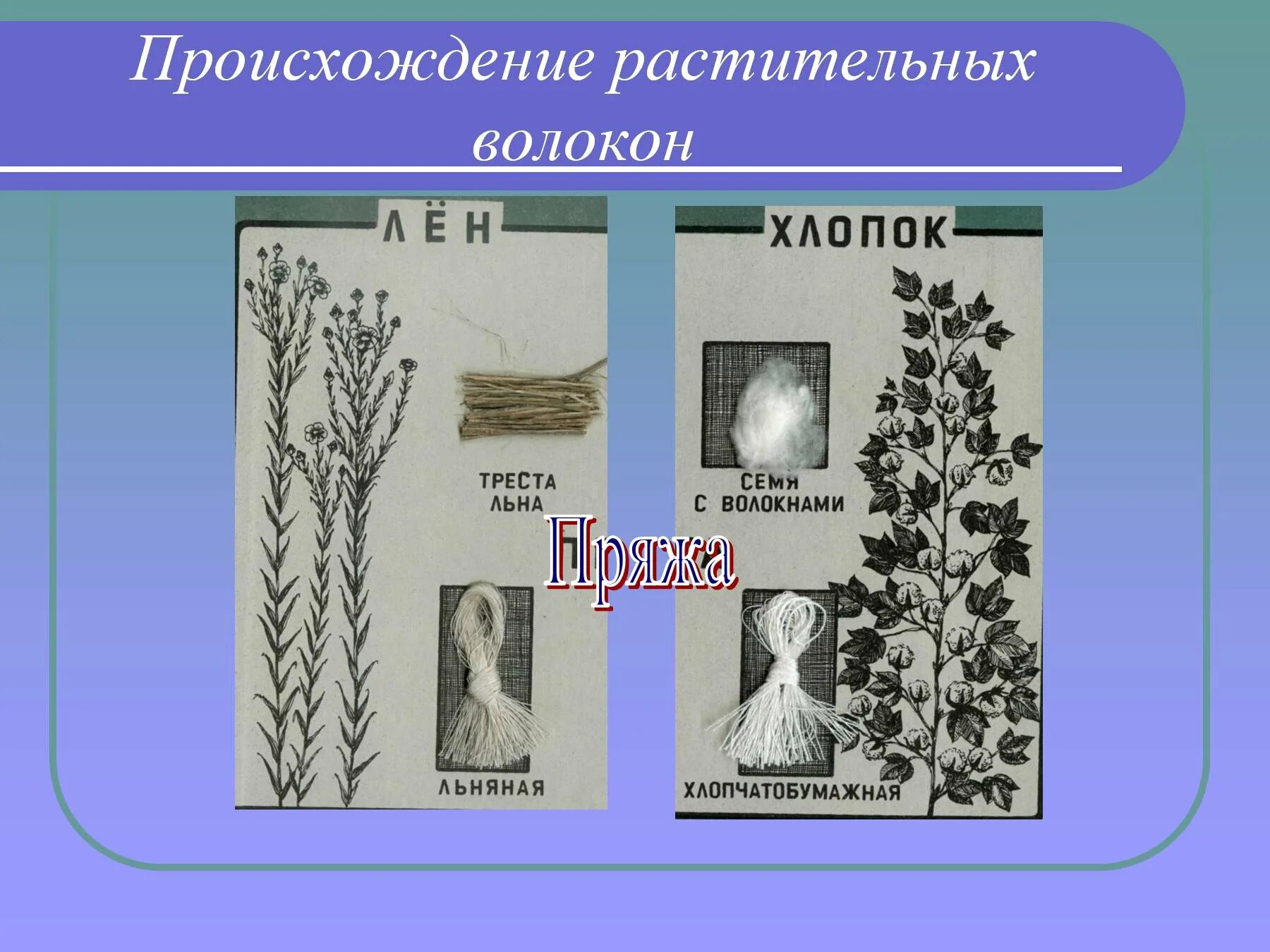 Лен растительного происхождения. Волокна растительного происхождения. Ткани растительного происх. Натуральные ткани растительного происхождения. Натуральные растительные волокна.