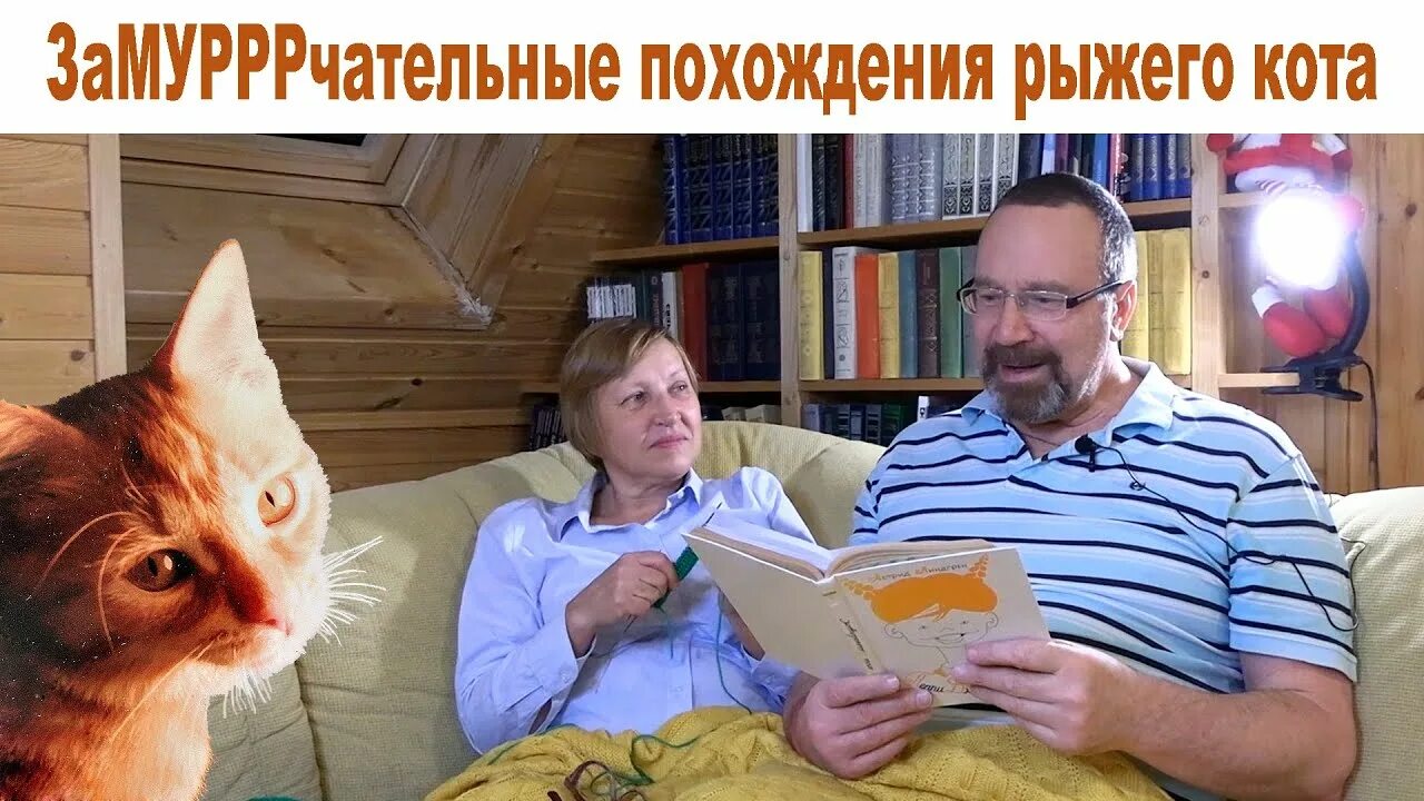 два котика Владимир Войдов Get-Any Worse ВКонтакте