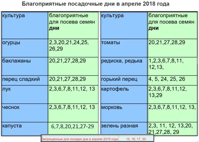 Посадочные дни в апреле огурцы на рассаду