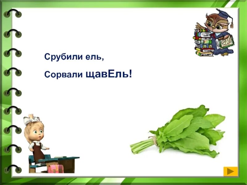 Как правильно щавель или щавель ударение. Срубили ель сорвали щавель. Срубили ель сорвали щавель картинки. Загадка про щавель. Щавель пословицы и поговорки.