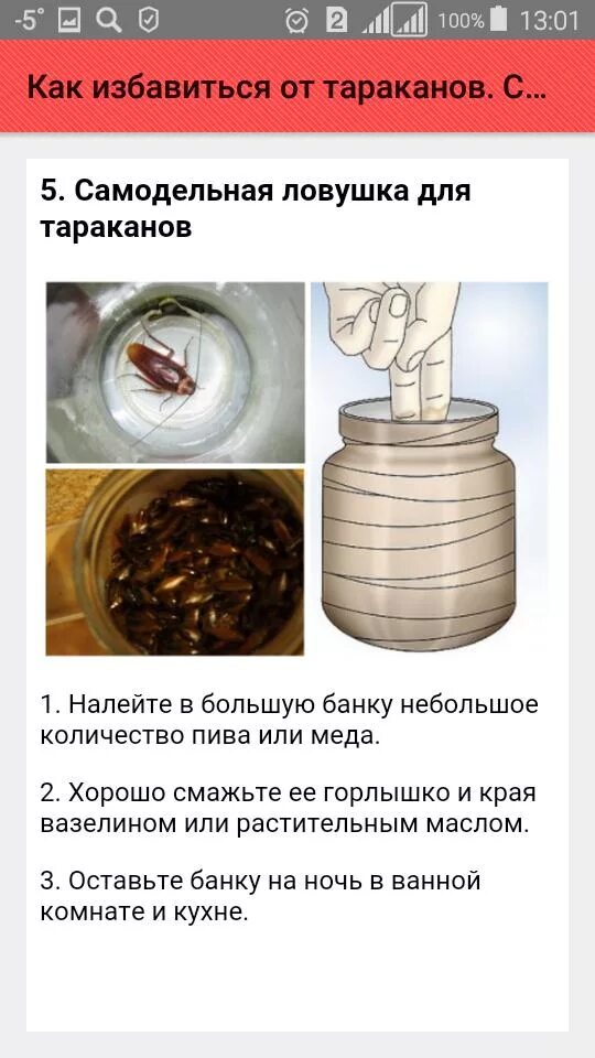 Избавиться от тараканов в квартире навсегда. Способы избавления от тараканов. как избавиться от тараканов. как избавиться от тараканов навсегда. как избавиться от тараканов в домашних условиях навсегда.