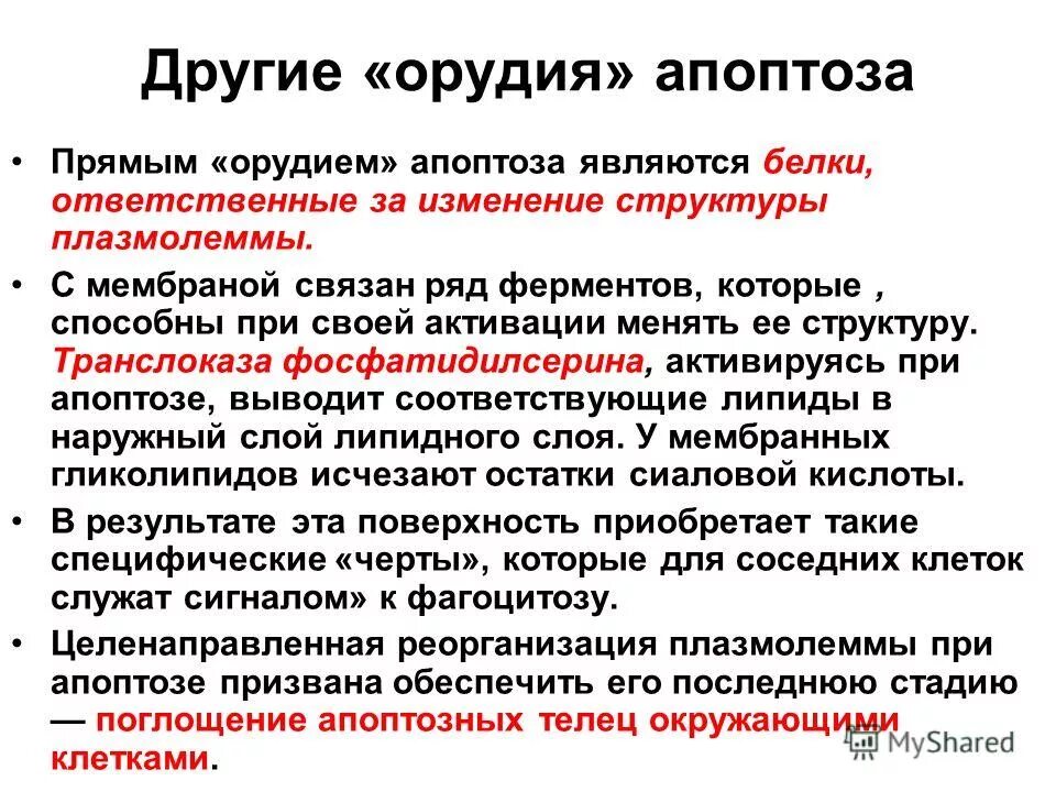 Апоптоз картинки. Индуцированный апоптоз. Индуцированный апоптоз. Внутренний путь апоптоза схема. Индуцированный апоптоз.