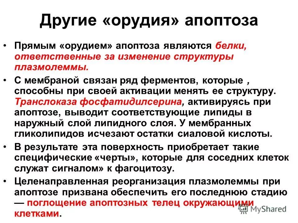 Содержит ферменты осуществляющие апоптоз. Орудия апоптоза. Ферменты апоптоза. Регуляция апоптоза. Ключевые ферменты апоптоза.