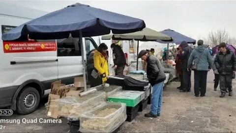 Ярмарка птицы в орле в 2024