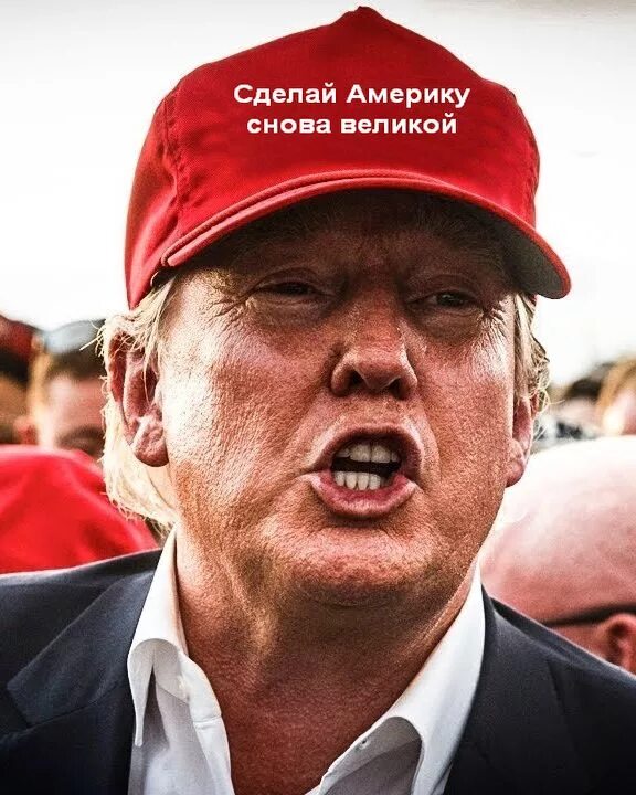 Что делать в америке