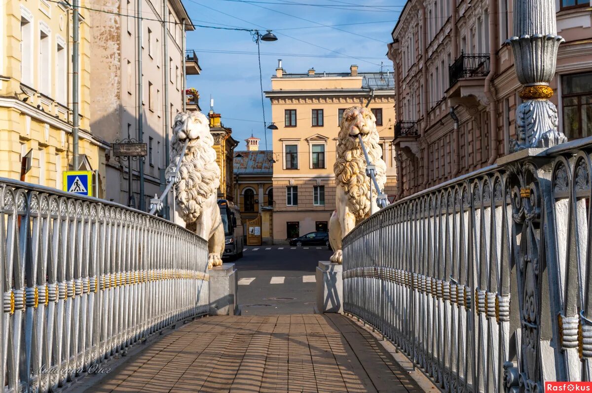 На Львиный мост в Петербурге вернули фонари, пострадавшие от вандала - KP.RU