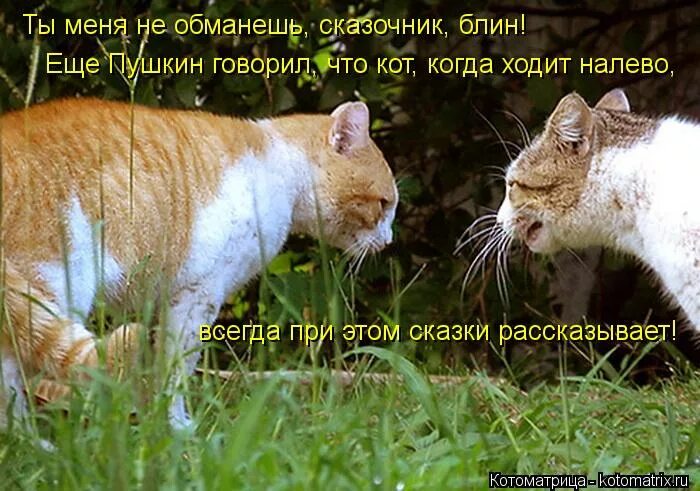 когда знаешь правду цитаты. обманул мем. меня обманули мем. ничего я не обманываю. обманывать не хорошо мем.