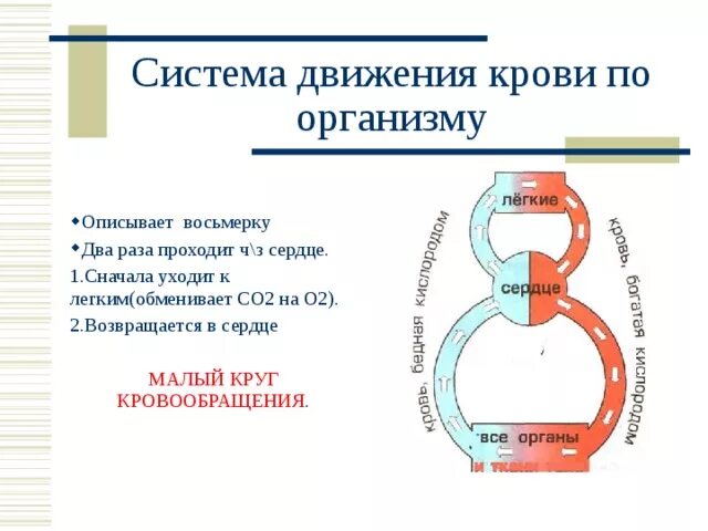 пульс - презентация онлайн
