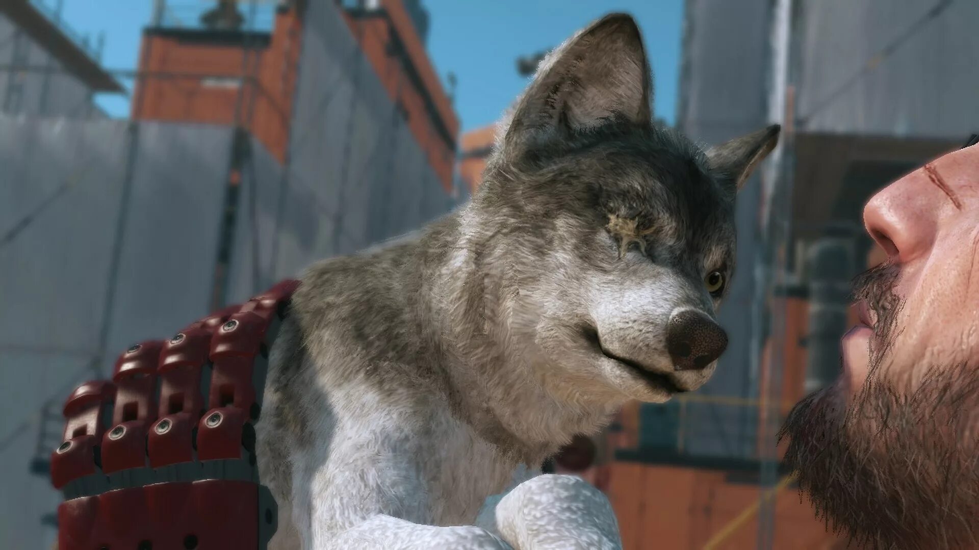 Better than wolves 1.16 5