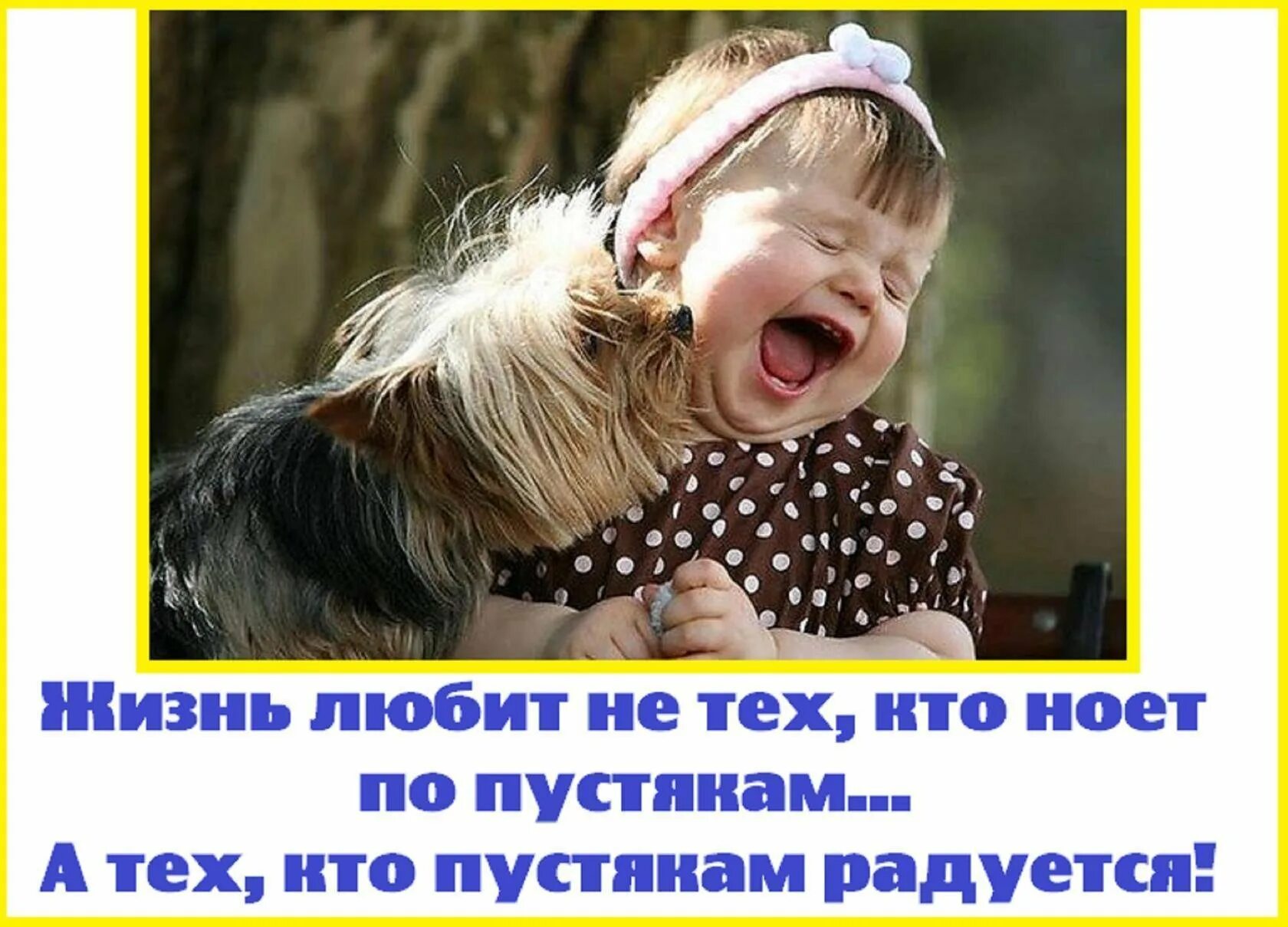 Будем радоваться жизни доброе. Радоваться жизни цитаты. доброта прикол. шутки про доброту. радуйтесь жизни приколы.