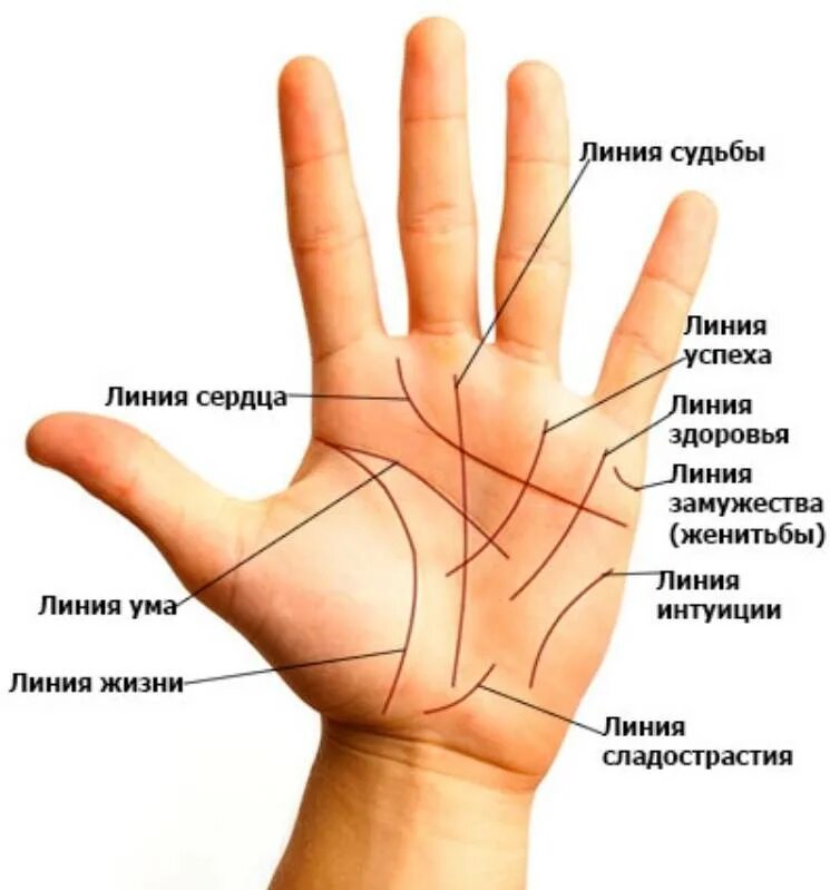 Как узнать свою судьбу
