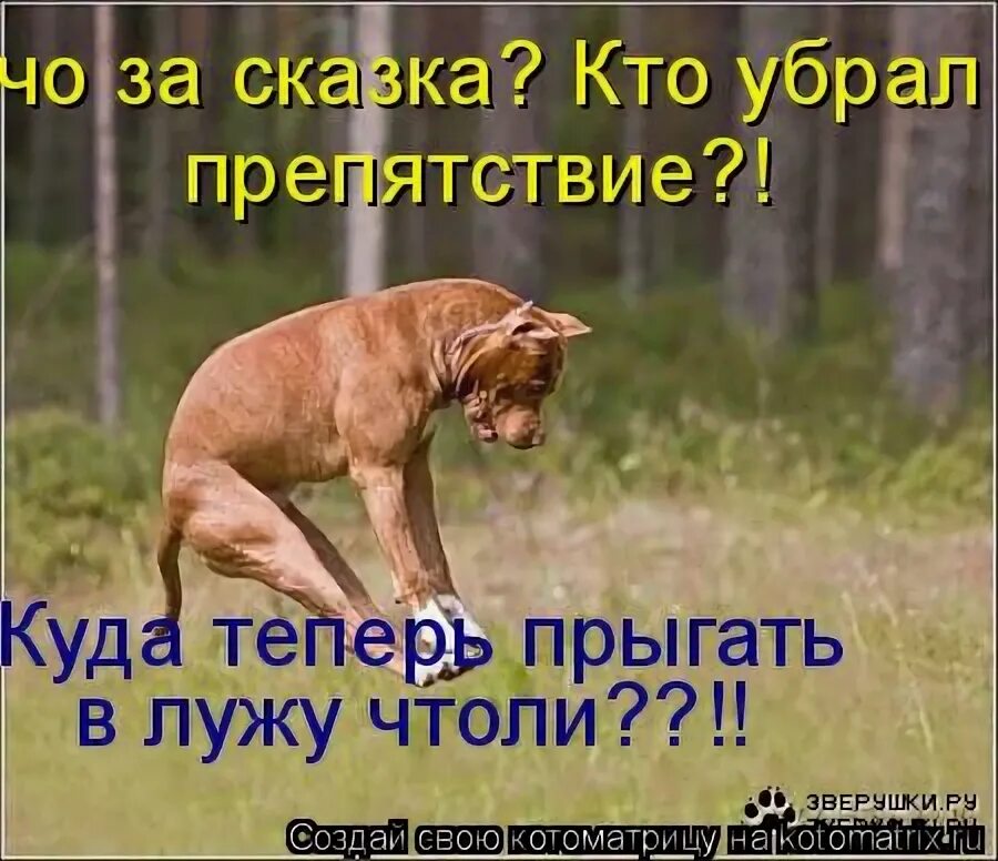 игра dop уровень 271. убери препятствие. Dop 2 259. убери препятствие 259. Dop уровень 254.