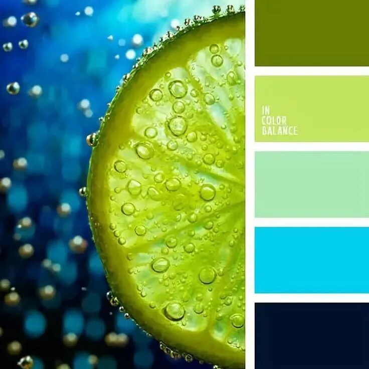 Цветовая палитра голубой зеленый. Фон для баннера. Рал 5014. Синий фон хромакей. Цветы голубого цвета.