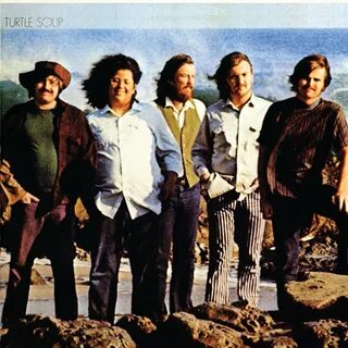 The turtles