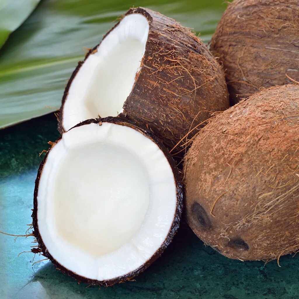The coconut