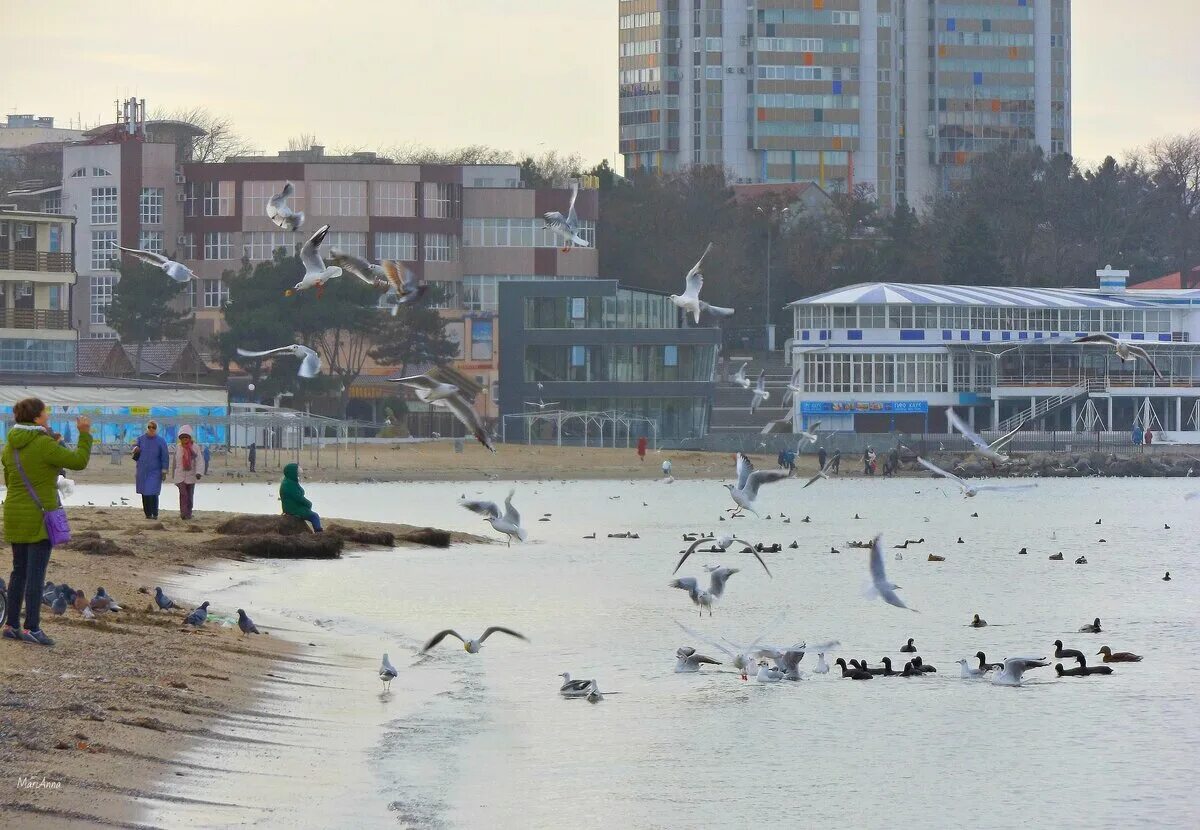 Погода в Анапе. Ветер в Анапе. Погода в Пшапе. Анапа в феврале. Прогноз погоды анапы подробно