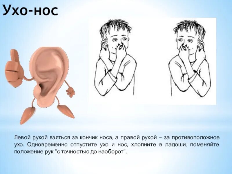 Глаза уши нос руки. Ухо-нос кинезиологическое упражнение. Кинезиологические упражнения ухо нос. Кинезиологические упражнения для дошкольников ухо нос.