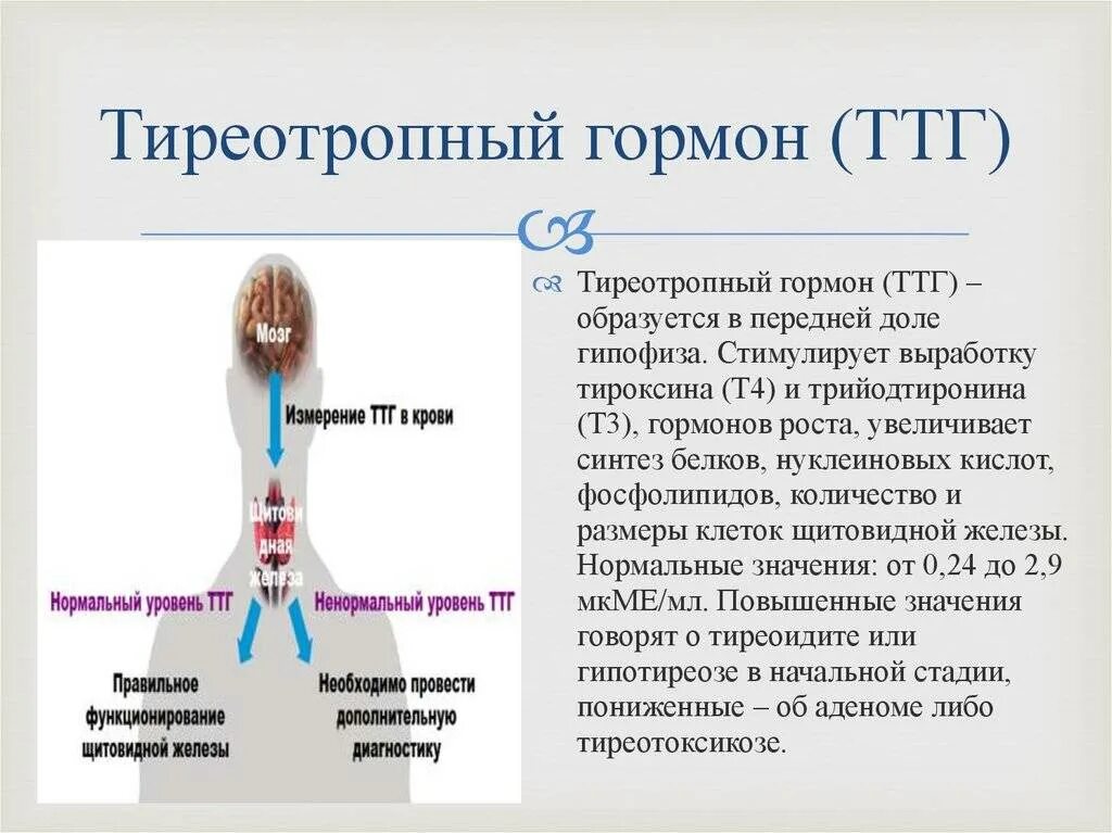 Ттг щитовидки повышен. Гормон ТТГ тиреотропный гормон. Тиреотропный гормон (TSH). ТТГ гормон 4.60. ТТГ TSH тиреотропный гормон повышен.