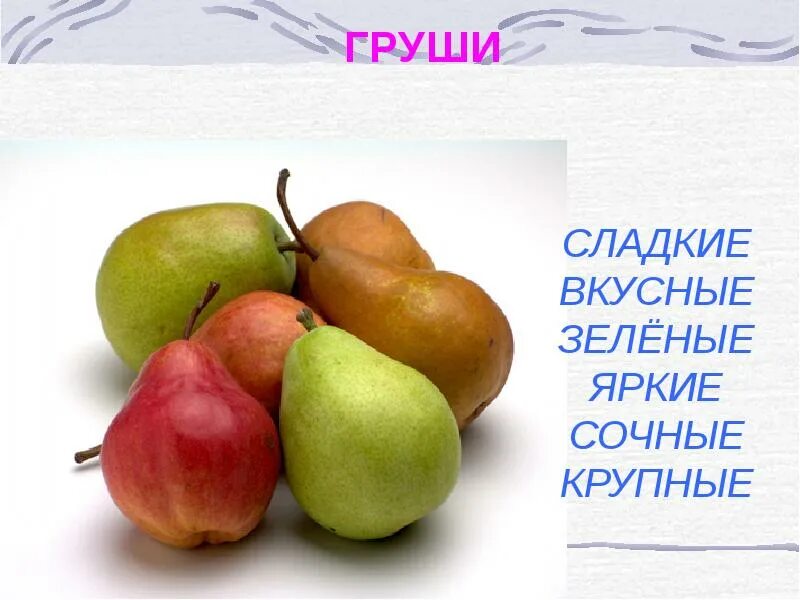 Pear 6. Груша грушелистная. 6 Груш. Груша 6 шт. Грушевый 6.