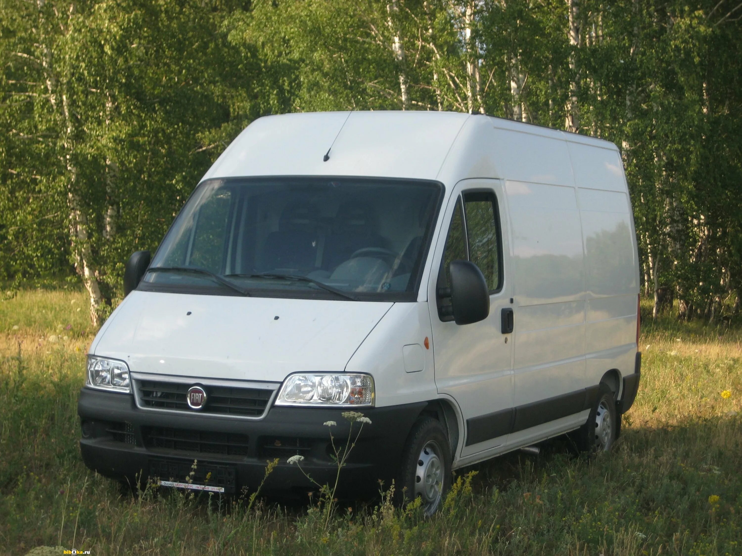 Купить фургон московская область. Фиат Дукато 2010. Fiat Ducato 2010 года. Фиат Дукато грузовой. Fiat Ducato 244 белый.