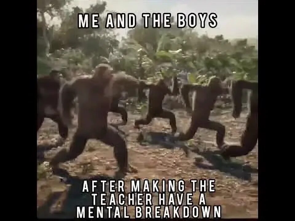 Обезьяна танцует. Орангутанг танцует. Пятница обезьяна танцует. Танцующие обезьяны мем. Танцующие обезьяны мем.