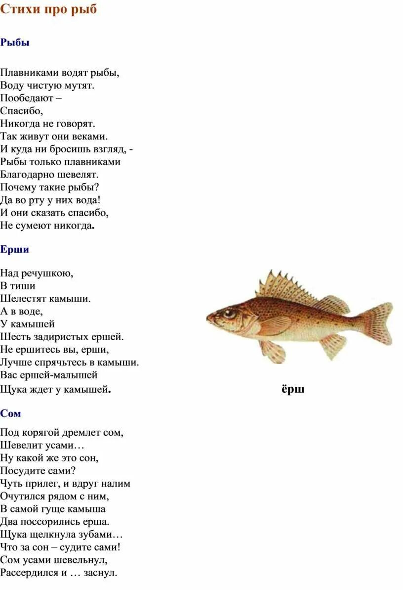 Стих про рыбку для детей. Стихи про рыб. Стих про рыбу для детей. Детские стихи про рыбок.
