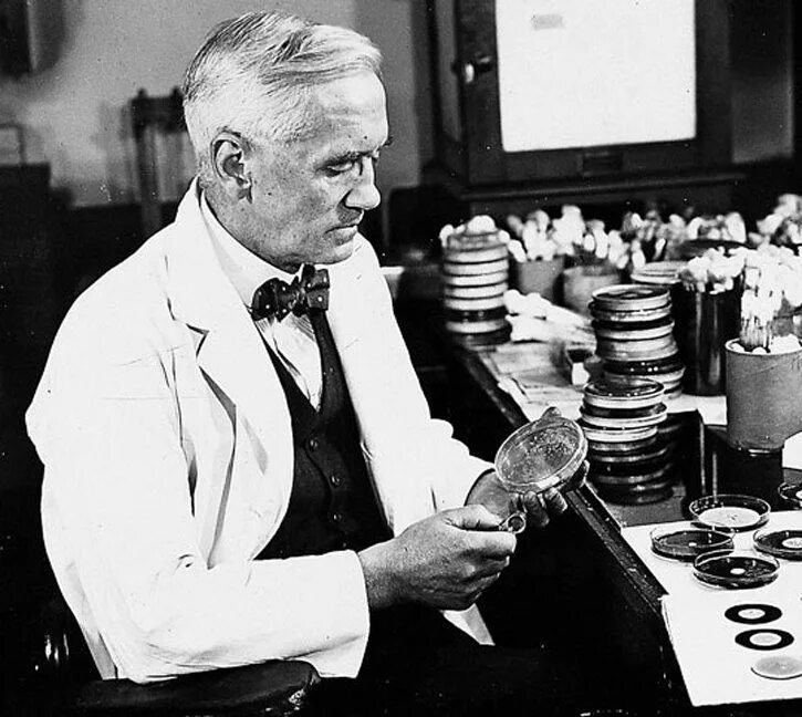 Alexander fleming discovered penicillin. Изобретатель антибиотиков Флеминг.