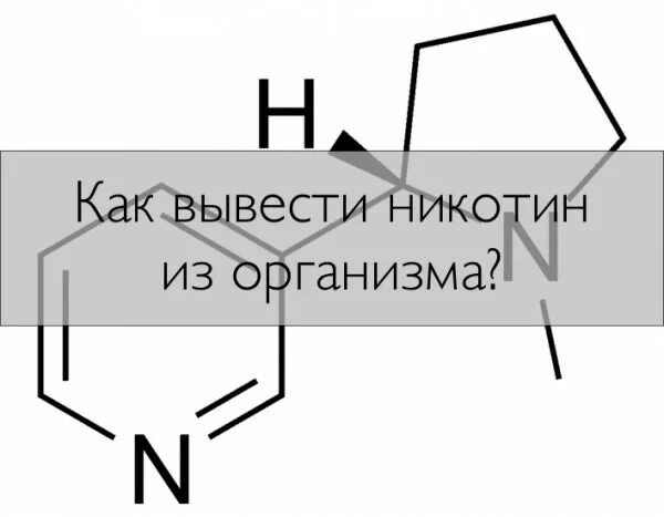 Как вывести никотин из мочи. Как быстро вывести никотин из организма. Как быстро никотин выводится из организма. Как быстро вывести никотин из мочи. Через сколько выветривается никотин от электронной сигареты