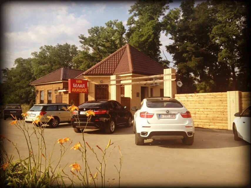 Белая акация кафе омск. Белая акация ростов-на-дону кафе на ленинакан. Банкетный зал акация омск. Белая акация кафе омск. Кафе белая акация ленинакан.