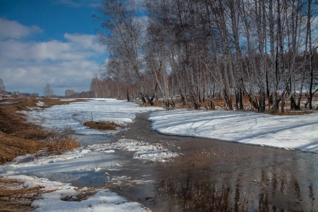 Талые воды весной. Весенние ручьи. Ручейки весной.