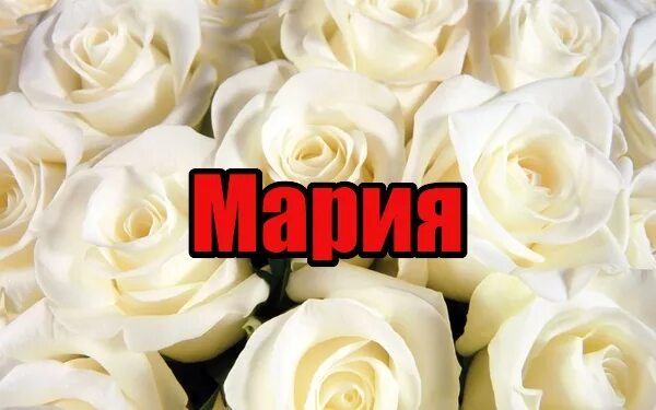 Красивое название для фото с цветами Rosebie Morton, founder of The Real Flower Company From Britain with Love Flow