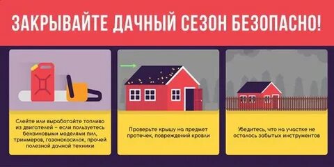 Срок дачи